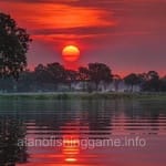 Avatar of Owais Siddiqui